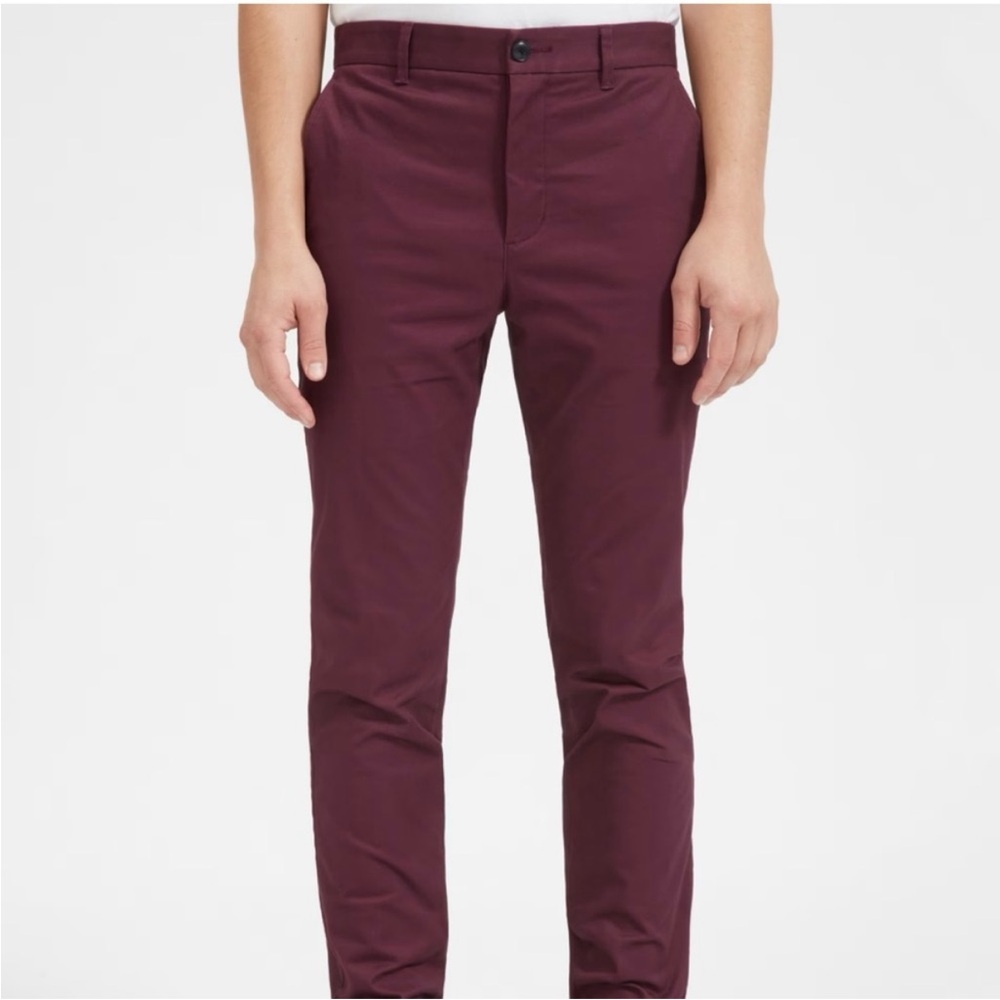Everlane Heavyweight Slim Chino Pants
